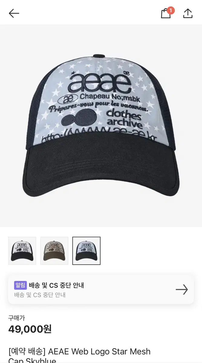 AEAE Web Logo Star Mesh Cap Skyb | 브랜드 중고거래 플랫폼